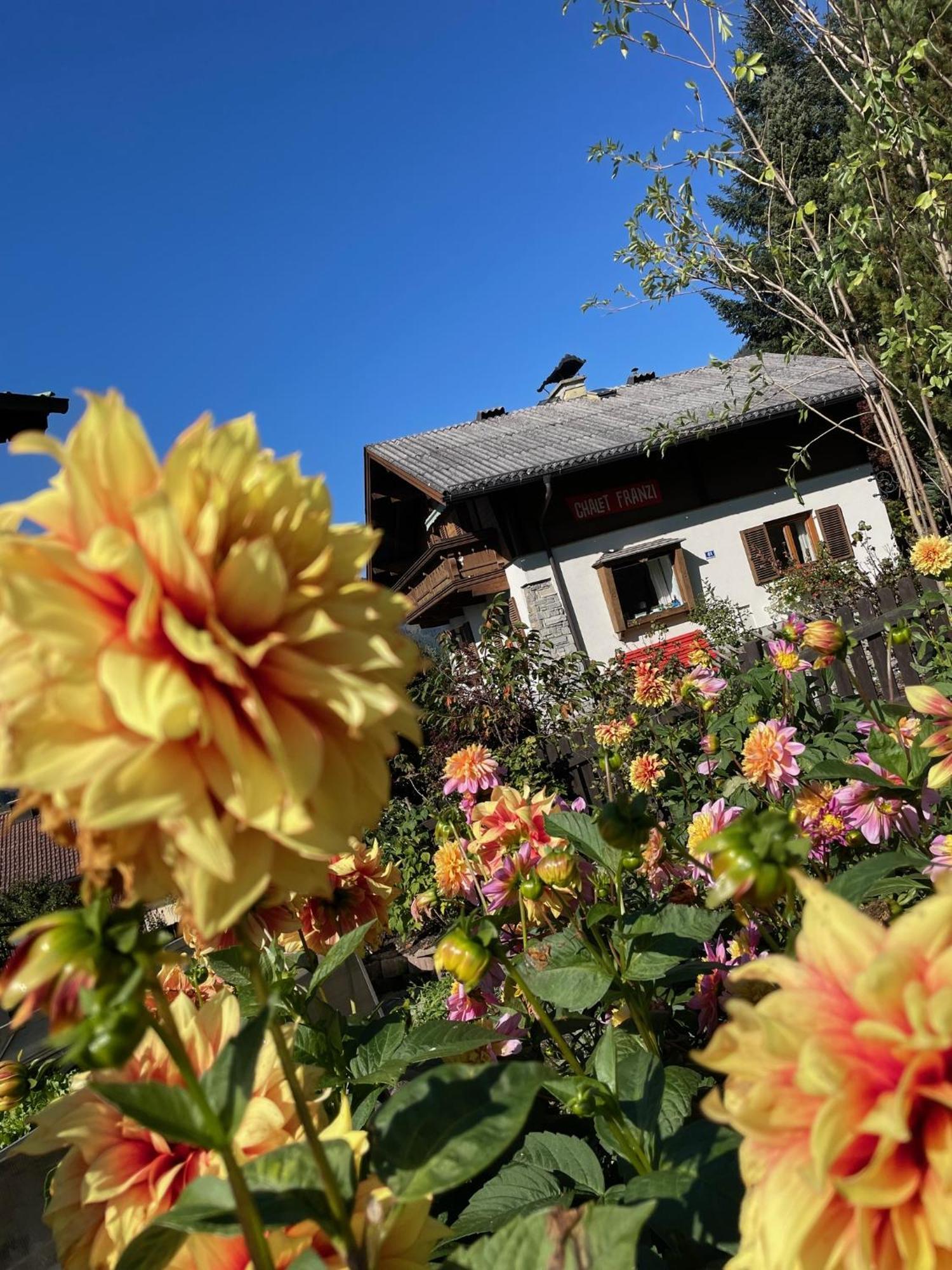 Chalet Franzi - Das Family-Ferienhaus Mit Gratiseintritt Ins Solarbad דורפגשטיין מראה חיצוני תמונה